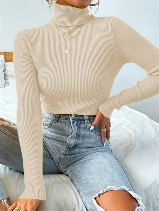 Rib Knit Beige Trutle Neck